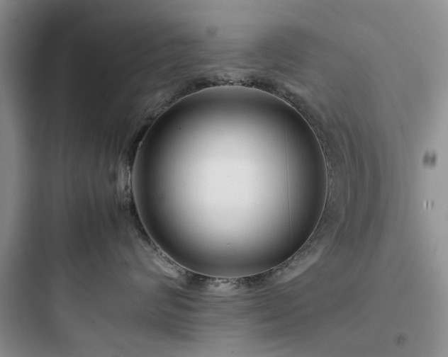 X0000097900624200803211443