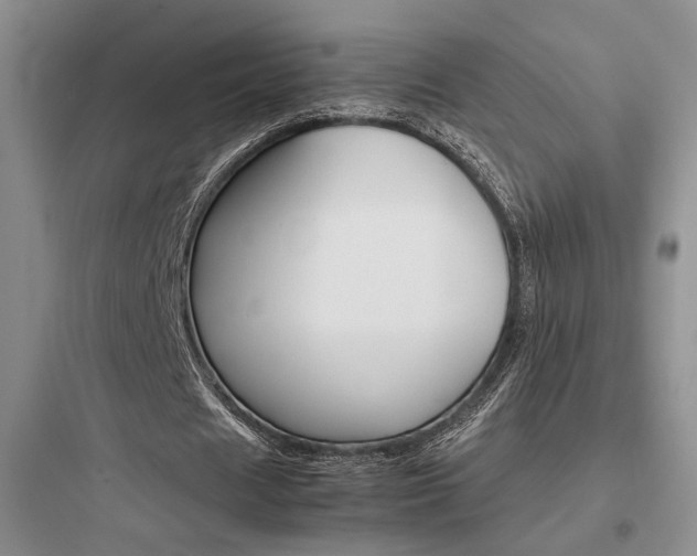 X0000097900625200803211442