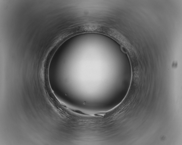 X0000097900626200803211442