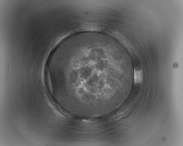 X0000097900627200803211442