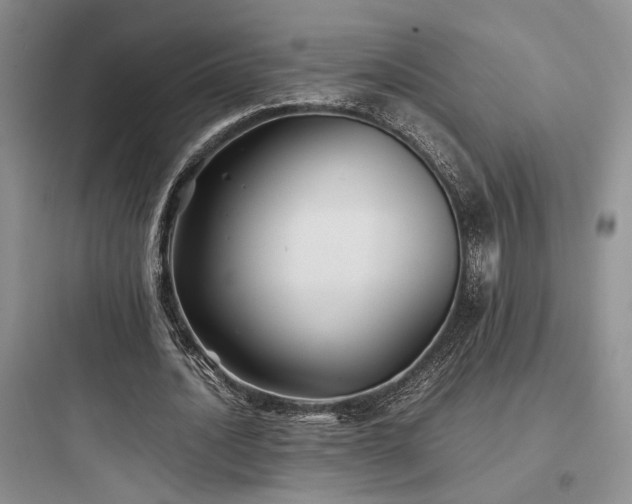 X0000097900628200803211442