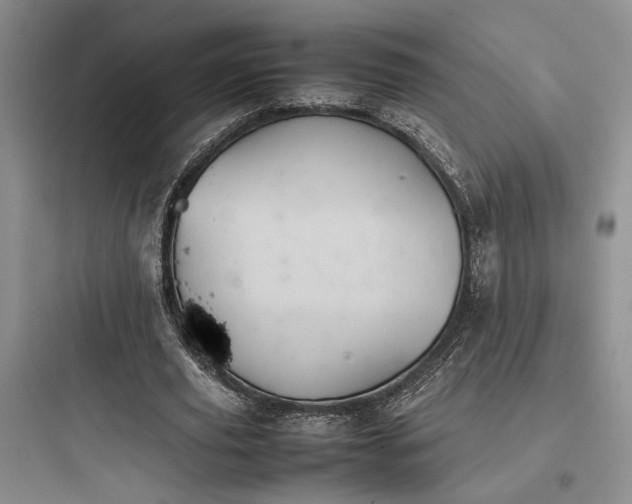 X0000097900629200803211442