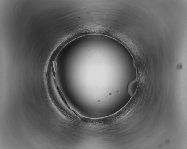 X0000097900630200803211442