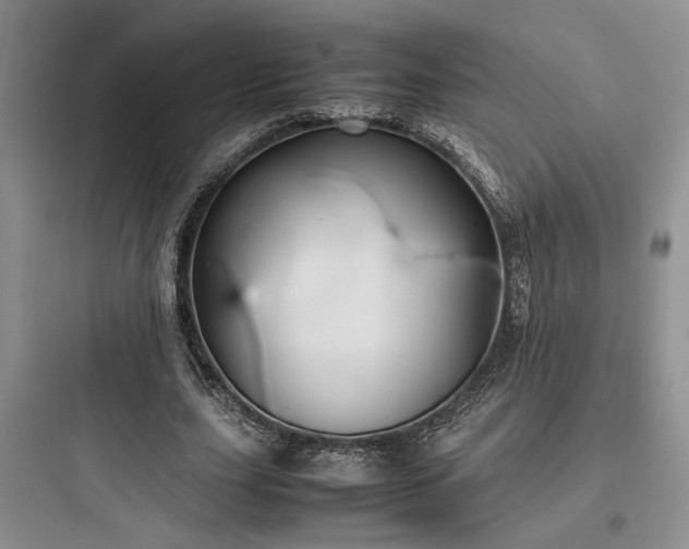 X0000097900631200803211442