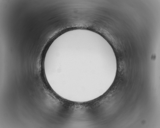 X0000097900632200803211442