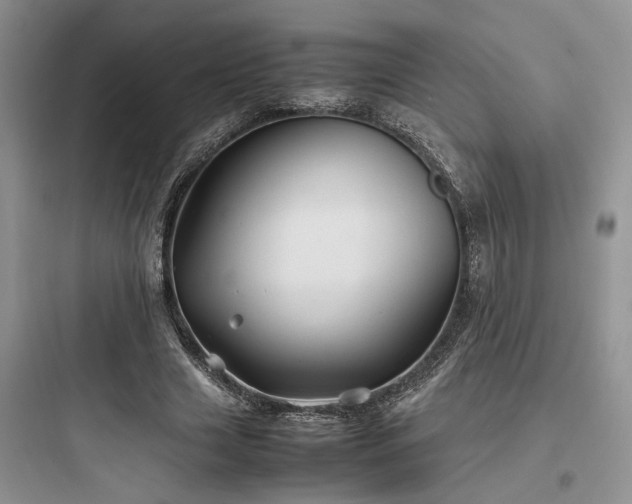 X0000097900633200803211442