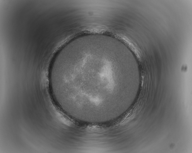 X0000097900634200803211442