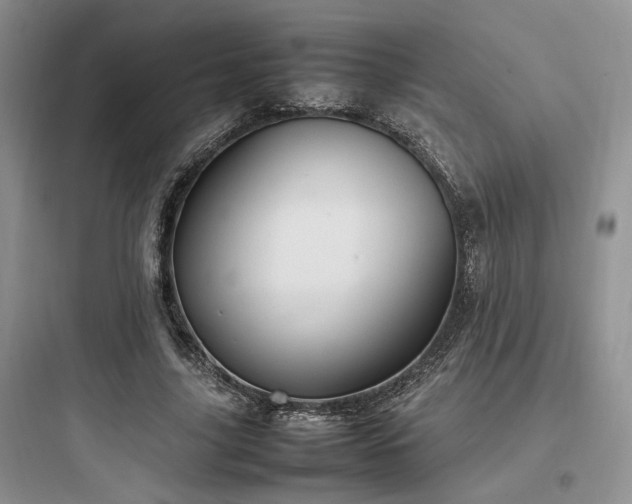 X0000097900635200803211442