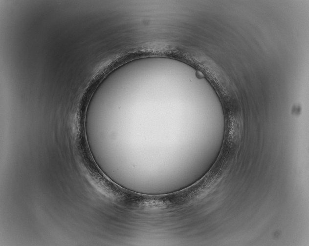 X0000097900636200803211442