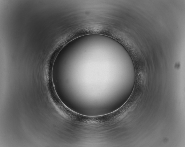 X0000097900638200803211442