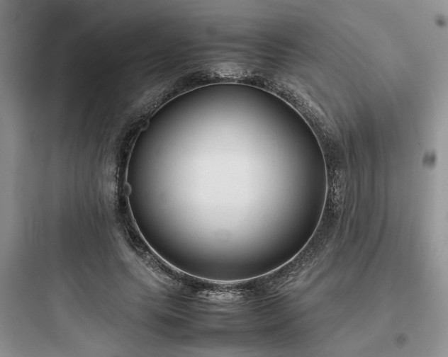 X0000097900639200803211442