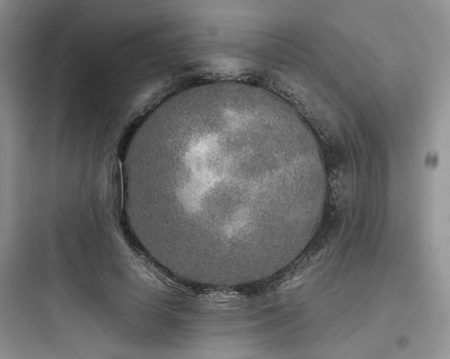 X0000097900642200803211442