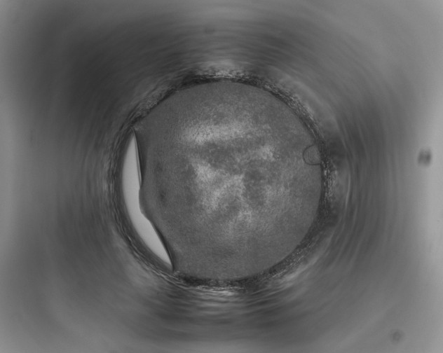 X0000097900643200803211442