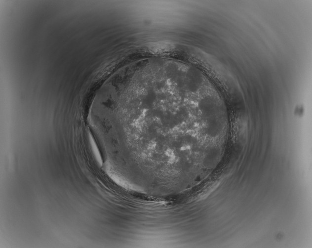 X0000097900644200803211442