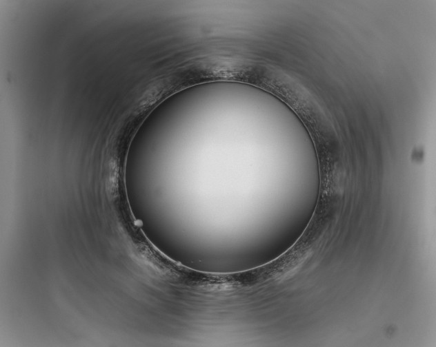 X0000097900646200803211442