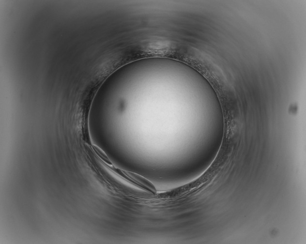 X0000097900647200803211442