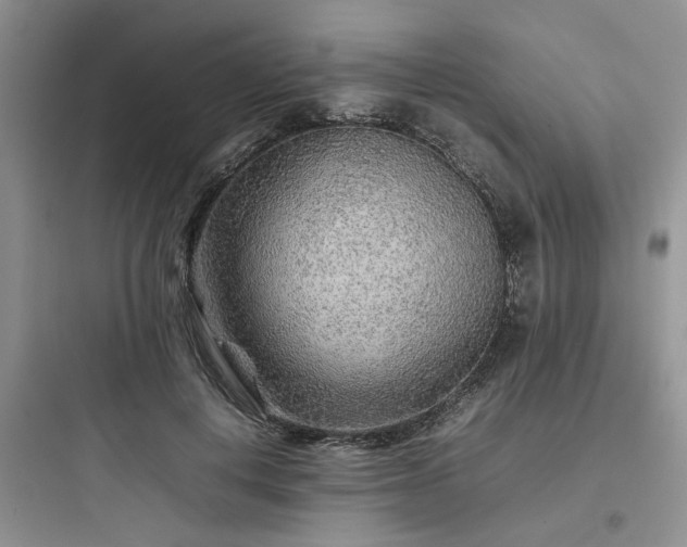 X0000097900648200803211442
