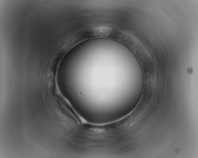 X0000097900649200803211442