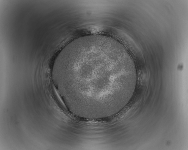 X0000097900650200803211442