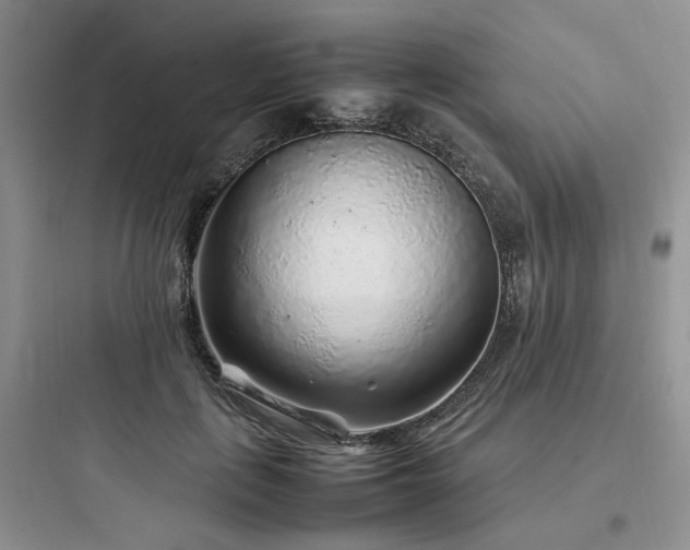 X0000097900651200803211442