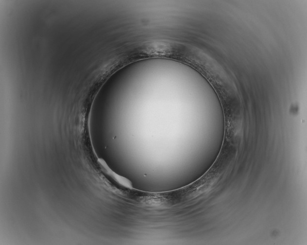 X0000097900652200803211442