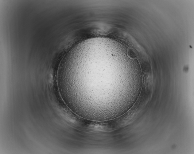 X0000097900655200803211442