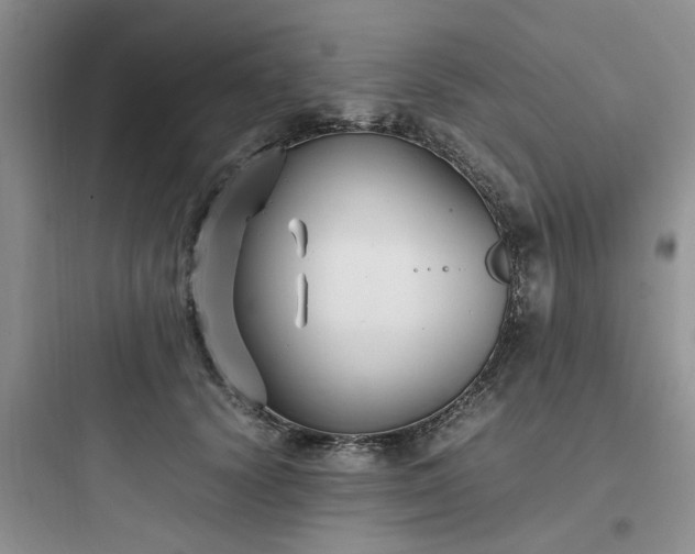 X0000097900656200803211442