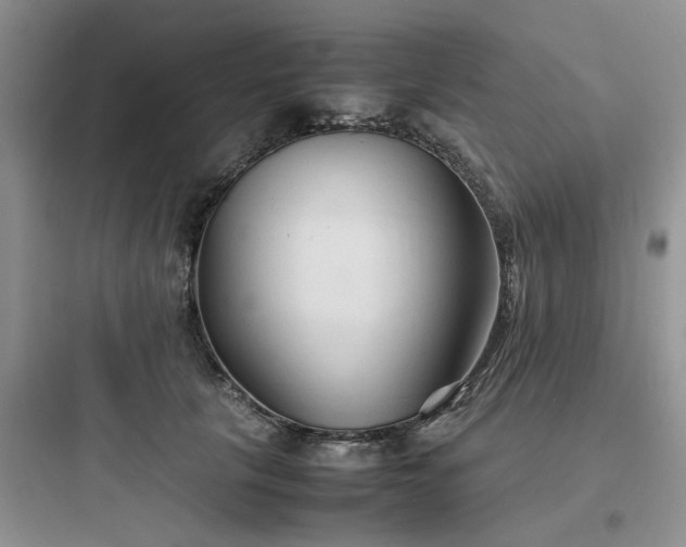 X0000097900657200803211442