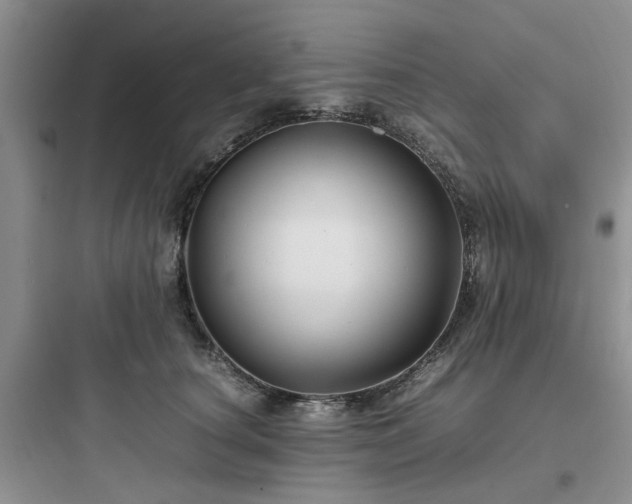 X0000097900660200803211442