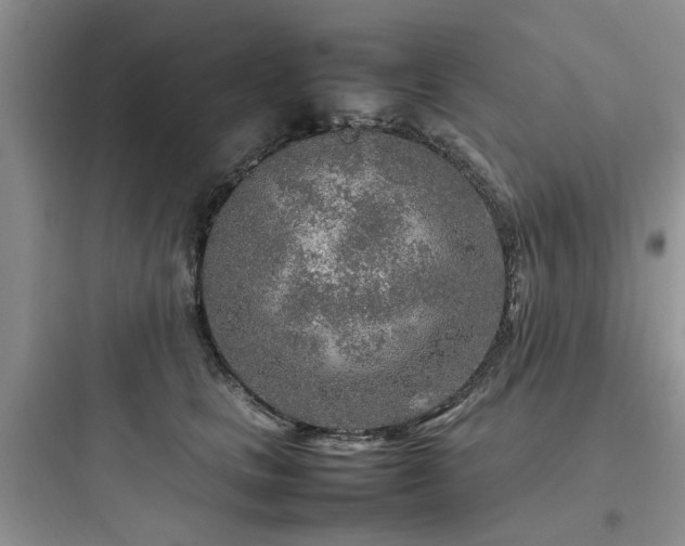 X0000097900661200803211442