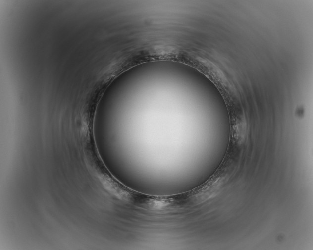 X0000097900662200803211442