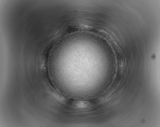 X0000097900663200803211443