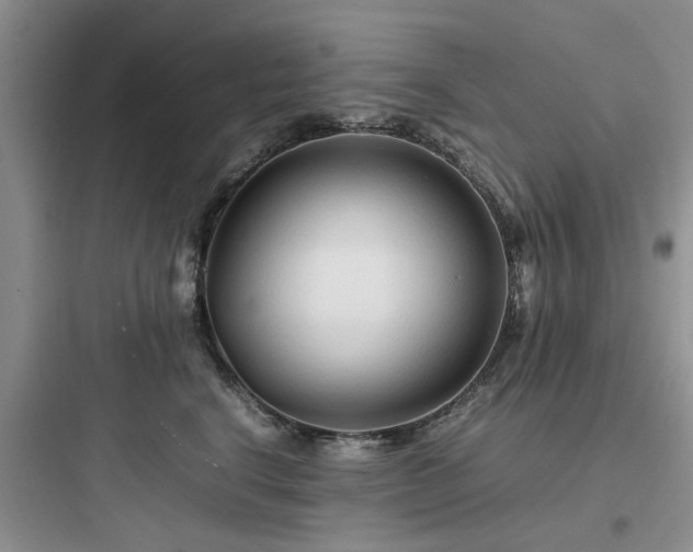 X0000097900664200803211443