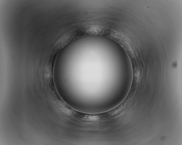 X0000097900665200803211443