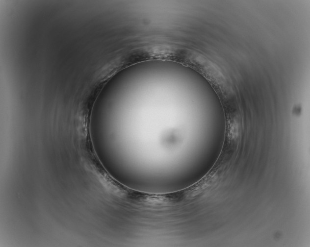 X0000097900666200803211443
