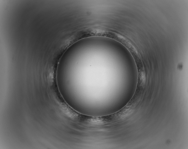 X0000097900668200803211443