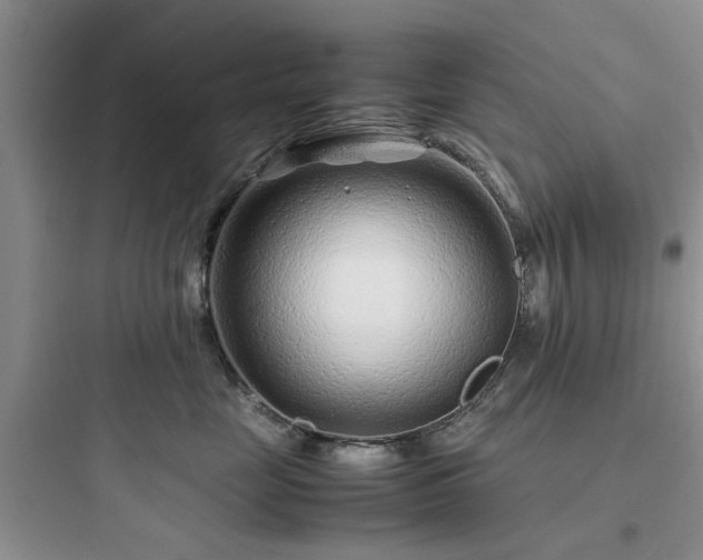 X0000097900669200803211443