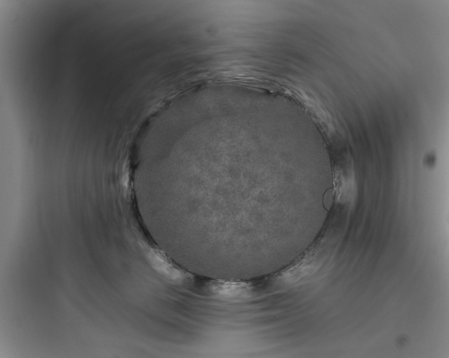 X0000097900670200803211443