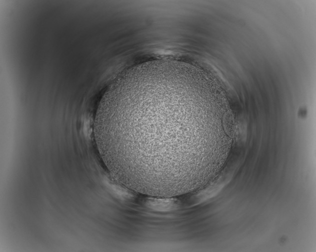 X0000097900671200803211443