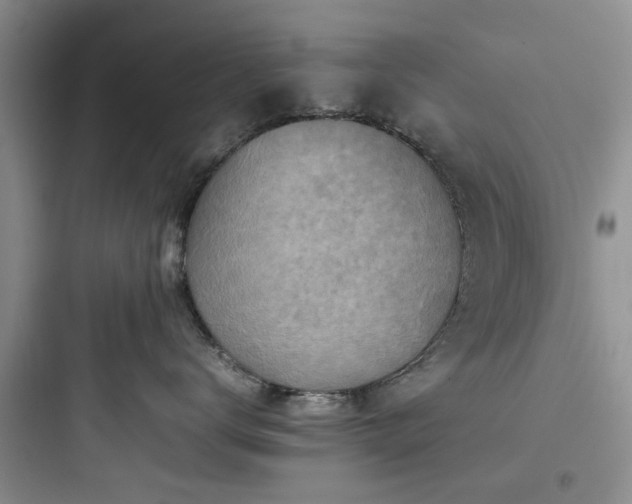 X0000097900672200803211443