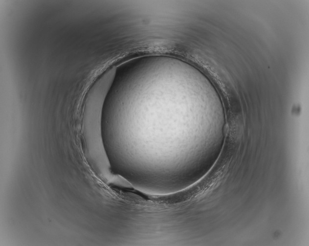 X0000097900673200803211442