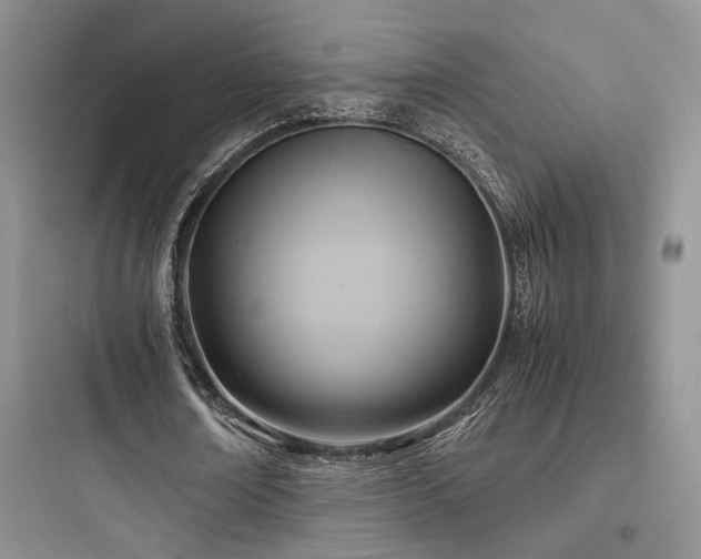 X0000097900674200803211442