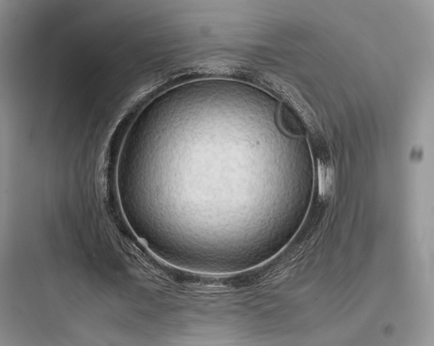X0000097900675200803211442