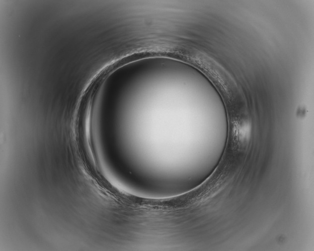 X0000097900676200803211442