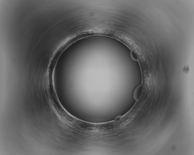 X0000097900678200803211442