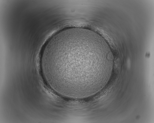 X0000097900679200803211442