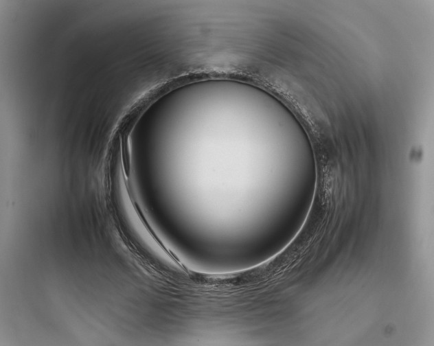 X0000097900680200803211442