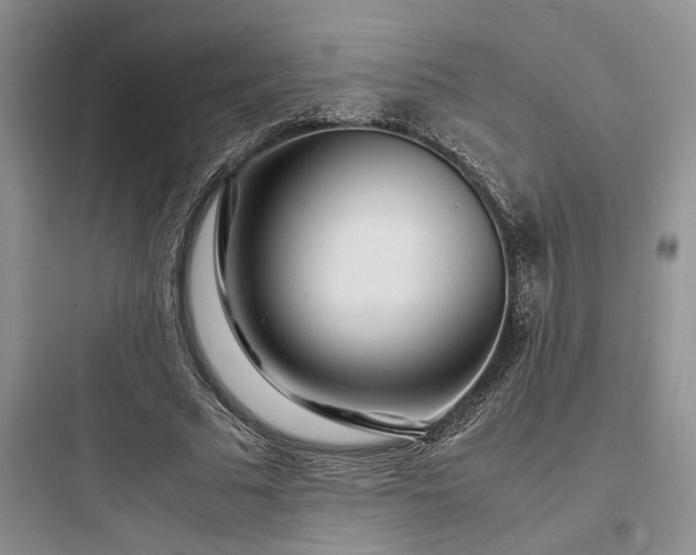 X0000097900681200803211442