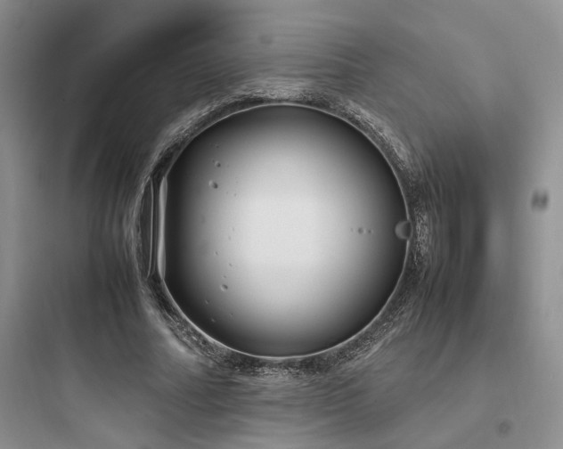X0000097900682200803211442