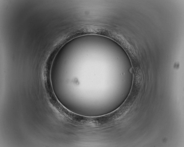 X0000097900683200803211442